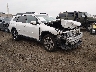 4S4BTAMC7M3****** Salvage and Wrecked 2021 Subaru Outback in Avenel New Jersey