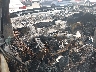 1GNKRGKD8HJ****** Salvage 2017 Chevrolet Traverse in Cleveland