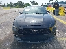 1FA6P8TH1G5****** Salvamento y Reparables 2016 Ford Mustang en Estado de Florida
