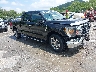 1FTFW1E81MK****** Salvage and Wrecked 2021 Ford F-150 in Pulaski