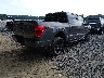 1FTFW1ED0MF****** Salvage and Wrecked 2021 Ford F-150 in South Carolina State