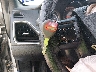 1C3CCBAB0DN****** Salvamento 2013 Chrysler 200 en Estado de Texas