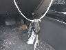 1FMCU9EG0BK****** Salvage 2011 Ford Escape in Pennsylvania State