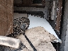 4X4TFLB22KZ****** Wrecked 2012 Forest River River Flag in IAA St. Louis Off-Site Granite City
