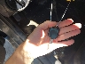 1FMCU9EG7CK****** Salvamento 2012 Ford Escape en Estado de Dakota del Sur