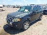1FMCU9EG7CK****** Usados y Reparables 2012 Ford Escape en Sioux Falls