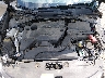 1N4AL3AP8HC****** Repairable 2017 Nissan Altima in Nashville
