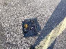 JN1EV7APXKM****** Wrecked 2019 Infiniti Q50 in Florida State