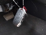 KNDJ23AU4P7****** Salvage 2023 Kia Soul in Ohio State