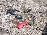 KNDJ23AU4P7****** Wrecked 2023 Kia Soul in Ohio State