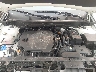 KNDPU3DF2R7****** Repairable 2024 Kia Sportage in Cleveland