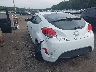 KMHTC6AD2DU****** Salvamento y Reparables 2013 Hyundai Veloster en Taunton