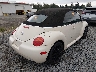 3VWCM31Y25M****** Salvamento y Destrozados 2005 Volkswagen Beetle en Estado de Washington