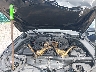 WBAFU9C53BC****** Repairable 2011 BMW 5 Series in Louisville North
