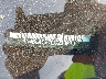 1N4BL4EV7LC****** Reparables 2020 Nissan Altima