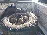 3GCUKSEC4EG****** Wrecked 2014 Chevrolet Silverado 1500 in Texas State
