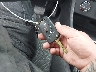 3VWC57BU5MM****** Salvage 2021 Volkswagen Jetta in New York State