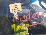 1FTRW07W11K****** Used and Repairable 2001 Ford F-150 in Texas State