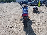 JKAEXMF133A****** Salvamento y Reparables 2003 Kawasaki Ninja 250R en Estado de Massachusetts