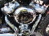 1HD1YJ916SB****** Wrecked 2025 Harley-Davidson Street Bob in Rec Rides Online Exclusive
