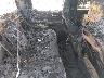 1GCPYFEL4LZ****** Destrozados 2020 Chevrolet Silverado 1500 en Baton Rouge