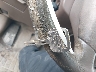 4T1BG22K0VU****** Salvage 1997 Toyota Camry in Maryland State