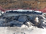 2GCEC19T611****** Repairable 2001 Chevrolet Silverado 1500 in Lubbock