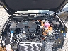 KM8JEDD14SU****** Repairable 2025 Hyundai Tucson Hybrid in Gulf Coast