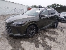 2T2BAMCA1SC****** Used and Repairable 2025 Lexus RX 350 in Richmond