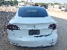 5YJ3E1EA6LF****** Wrecked 2020 Tesla Model 3