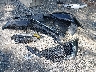 5N1AZ2DS8LN****** Wrecked 2020 Nissan Murano in Maryland State