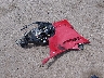 1G1YY26UX75****** Wrecked 2007 Chevrolet Corvette in California State