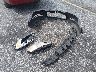 2G1WB58K379****** Destrozados 2007 Chevrolet Impala en Estado de Carolina del Sur