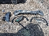 SJKCH5CP6KA****** Wrecked 2019 Infiniti QX30 in Texas State