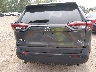 2T3F1RFV4KW****** Destrozados 2019 Toyota RAV4