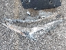 JTJBJRBZ5J2****** Wrecked 2018 Lexus NX in California State