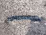 5NPDH4AE3FH****** Wrecked 2015 Hyundai Elantra in Illinois State