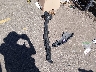 5FNRL38757B****** Wrecked 2007 Honda Odyssey in Colorado State