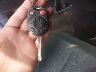 1FADP3K23GL****** Salvage 2016 Ford Focus in South Dakota State