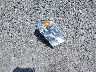 1C6RD7PT6CS****** Wrecked 2012 Dodge Ram in Arkansas State