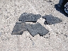 JHMZE2H70AS****** Used 2010 Honda Insight in New Mexico State