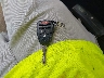 1C4NJRFB5CD****** Salvage 2012 Jeep Patriot in Maryland State