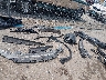 3VWBX7BU6SM****** Destrozados 2025 Volkswagen Jetta en Estado de Virginia Occidental