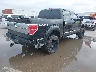 1FTFW1ET0DF****** Salvamento y Destrozados 2013 Ford F-150 en Estado de Texas