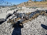 1GC4YREY0PF****** Salvage and Wrecked 2023 Chevrolet Silverado 2500 HD in California State