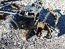 1GC4YREY0PF****** Used and Repairable 2023 Chevrolet Silverado 2500 HD in California State