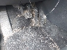 1VWAT7A31FC****** Salvamento 2015 Volkswagen Passat en Estado de Georgia