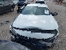 1HGCV1F47MA****** Usados 2021 Honda Accord en Estado de Texas