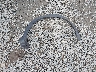 JM3KE4DY3F0****** Wrecked 2015 Mazda CX-5 in Washington State