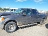 1FTFW1EF1EK****** Reparables 2014 Ford F-150 en Estado de Alaska